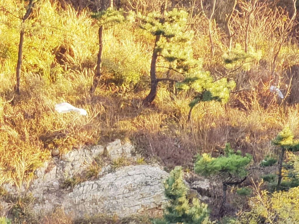 秀月峰图片