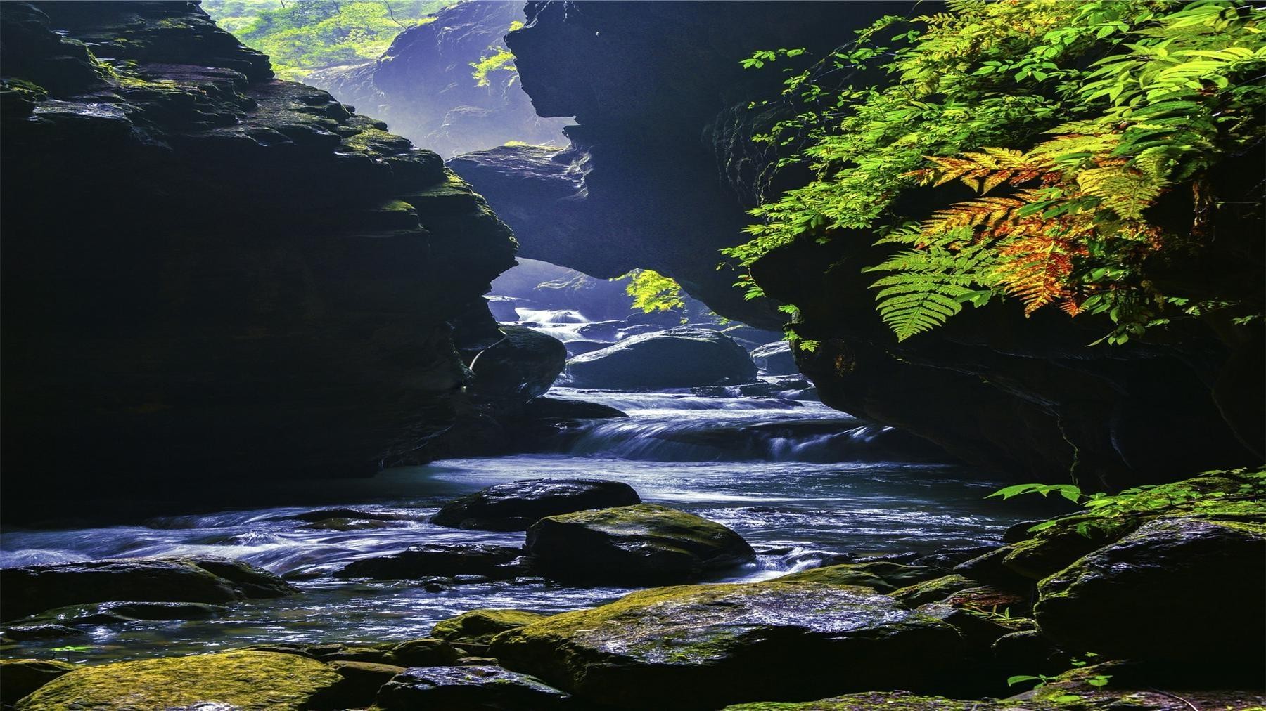 凤凰谷风景图片