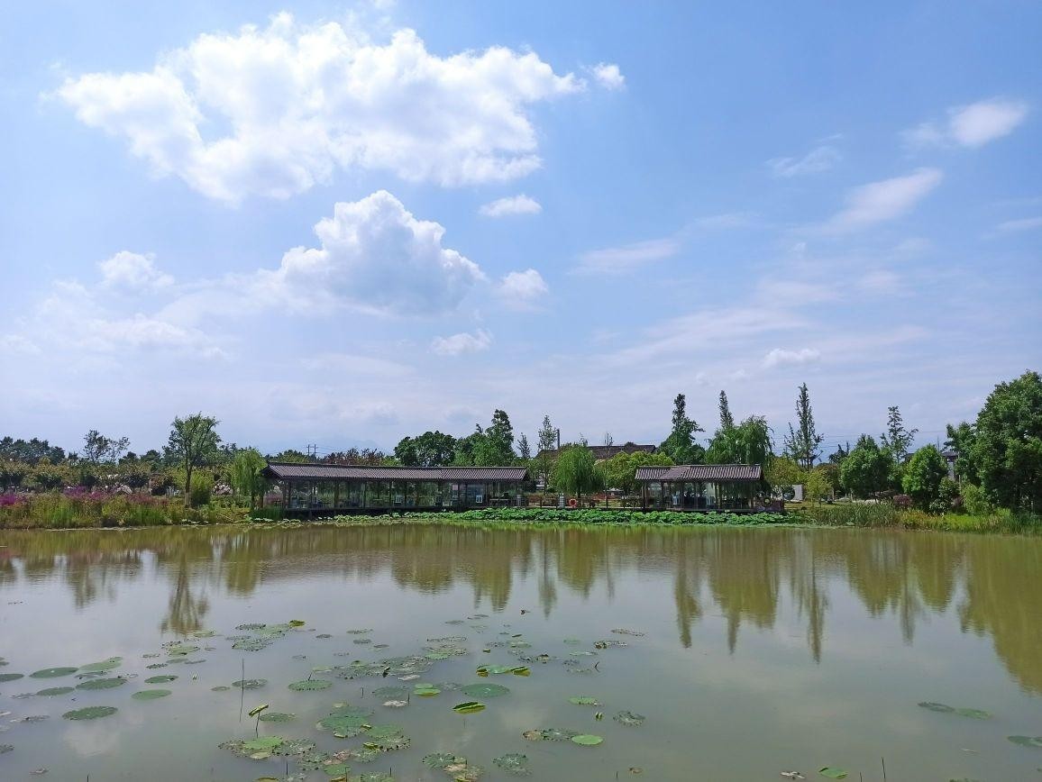 唐昌镇横山花湖图片