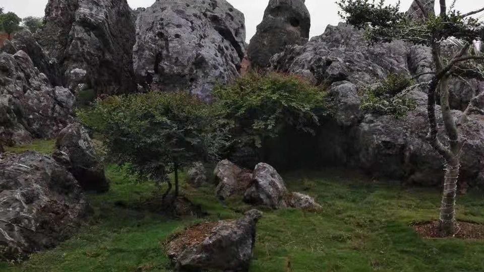 武汉花海石林风景区图片