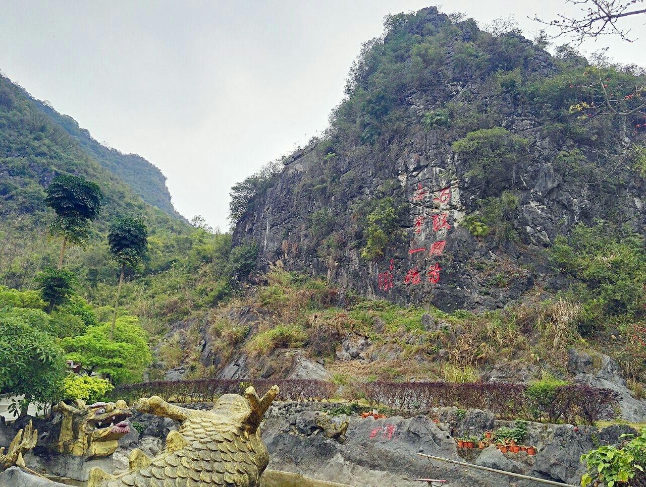 景点:石头开花景区 地址:广西壮族自治区河池市都安瑶族自治县澄江镇