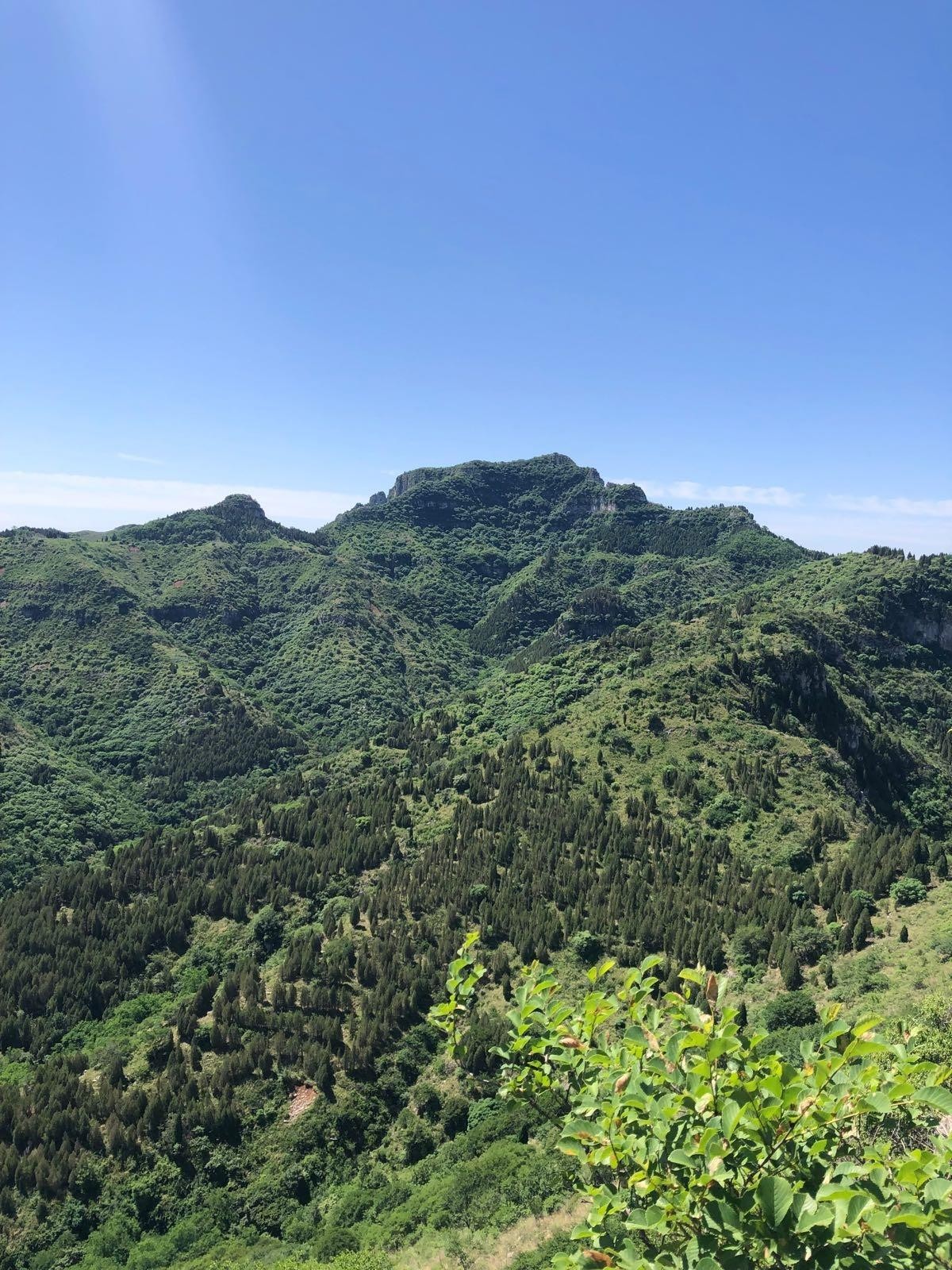 山东最高山图片