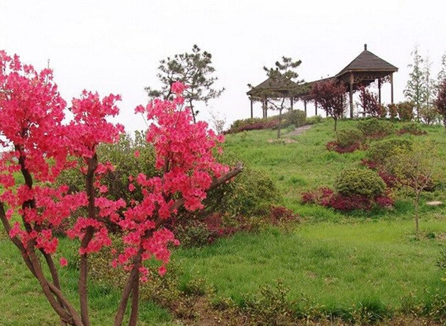 合肥的金孔雀温泉旅游度假村,是度假放松的好去处!