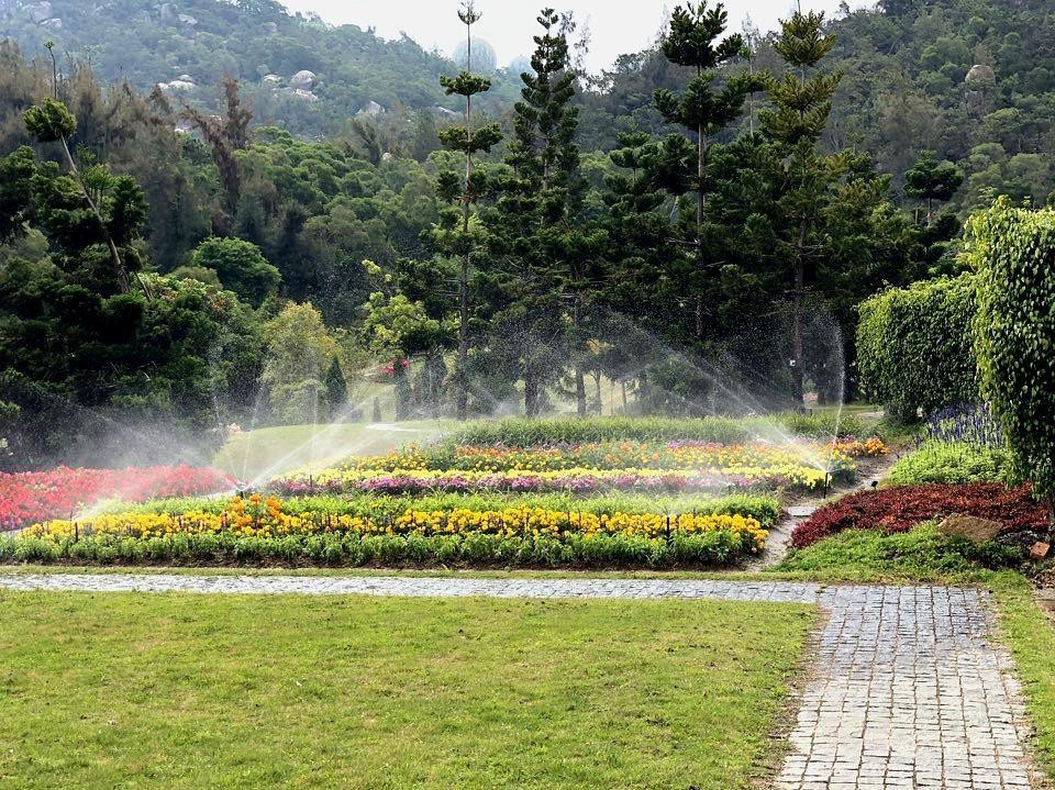 沙冲路植物园图片