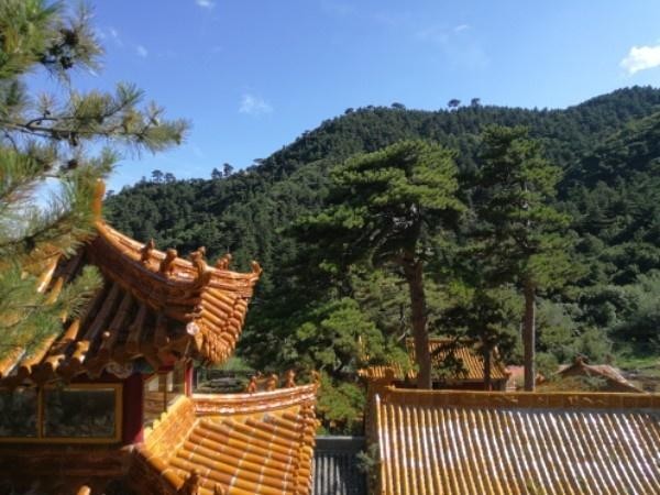 河北清凉寺图片