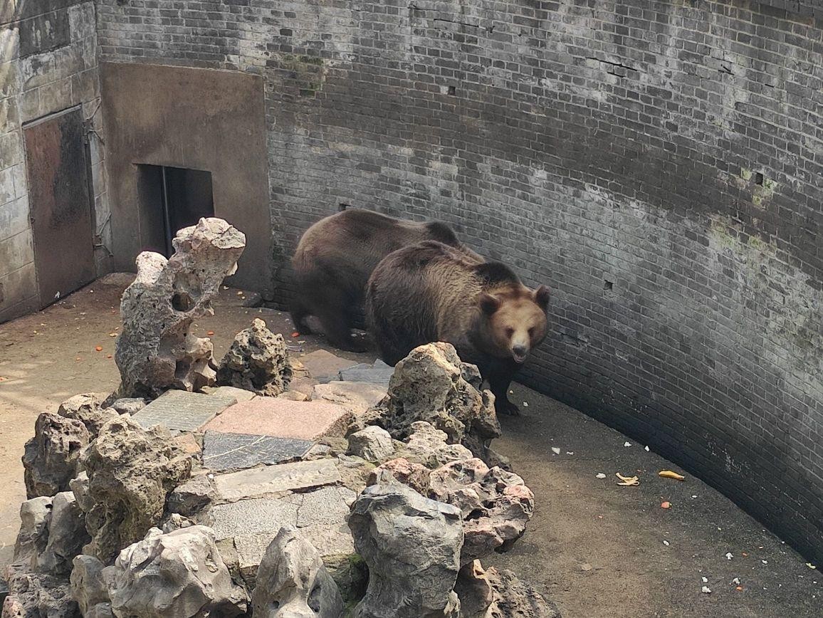 芜湖赭山公园动物园图片