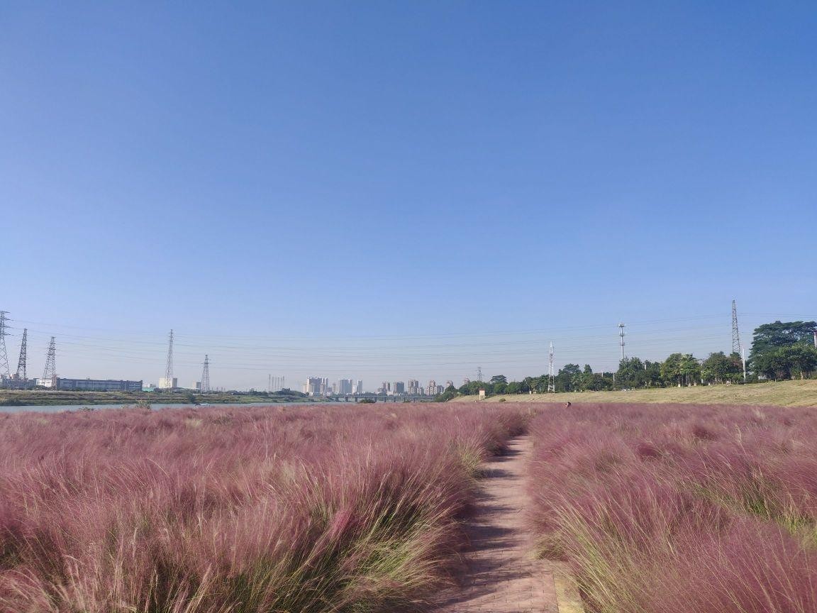 佛山花海生态公园地址图片