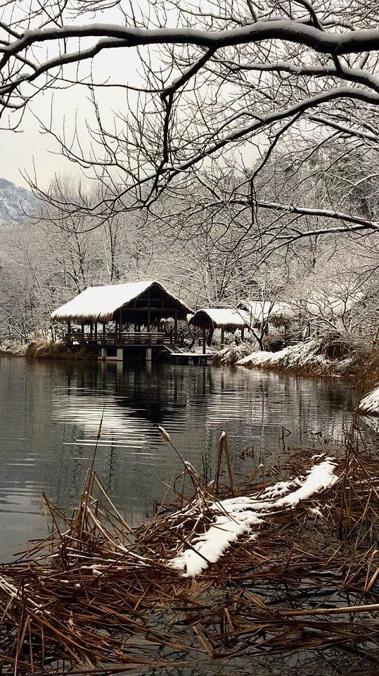 清幽景图片