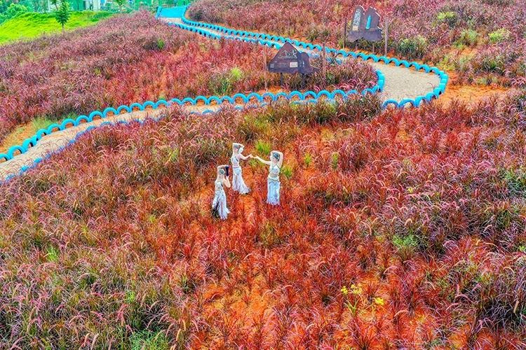 瓷天下海丝谷景区攻略图片