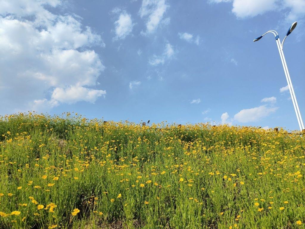 莱芜汉江公园图片