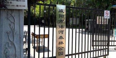 西安沣河森林公园门票图片