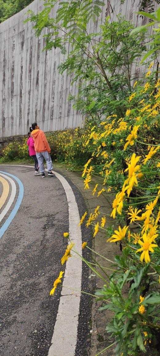 遂宁西山公园景点介绍图片