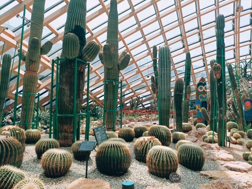 太原植物园景区图片图片