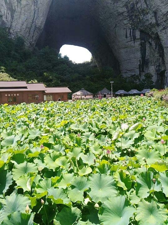 大方县清虚洞图片