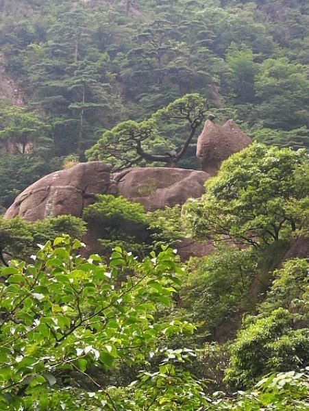 黄山奇石仙人指路图片