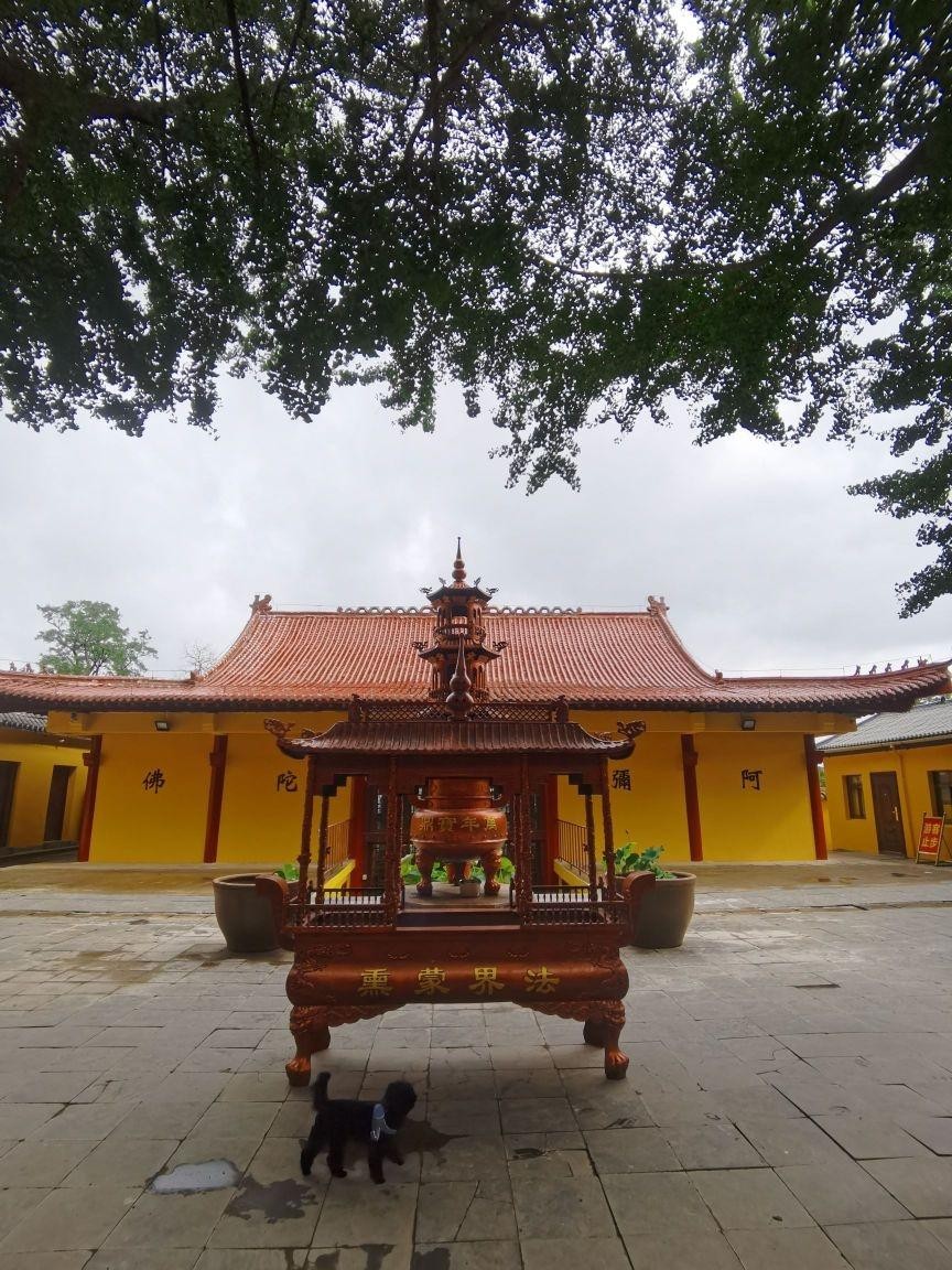 岳阳紫竹林禅院昆山寺图片