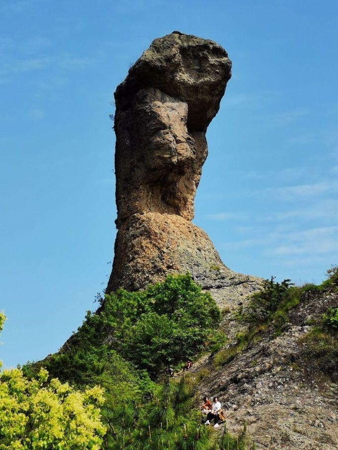 新都万科五龙山公园图片