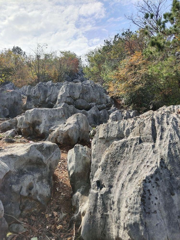 阳新七峰山图片