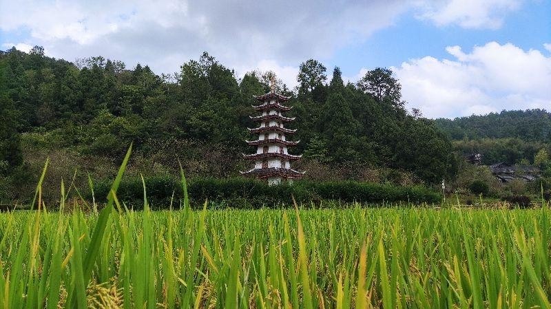 正安桃花源记景区介绍图片