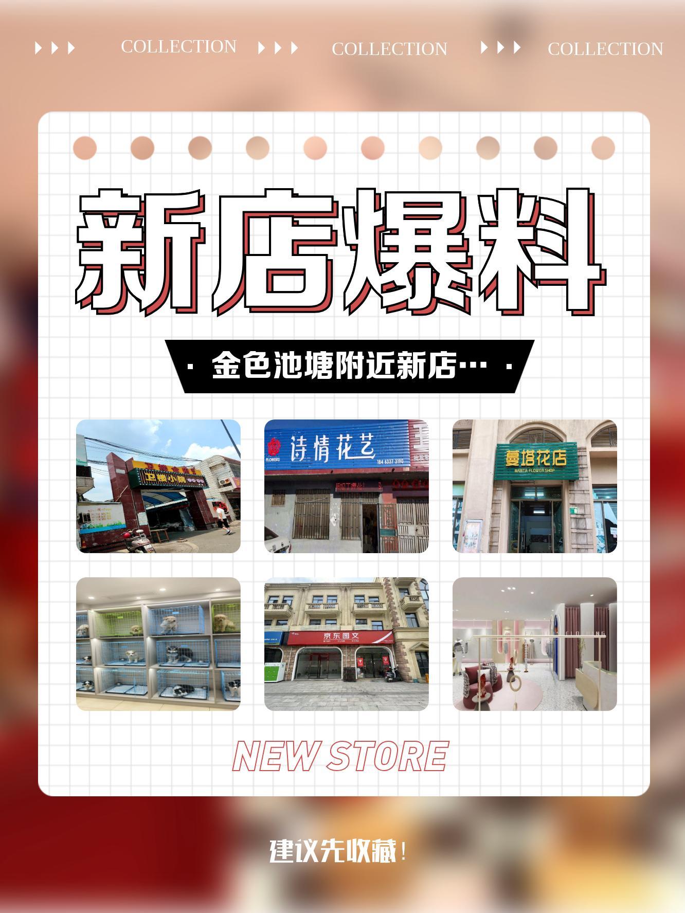 金色池塘三分店图片