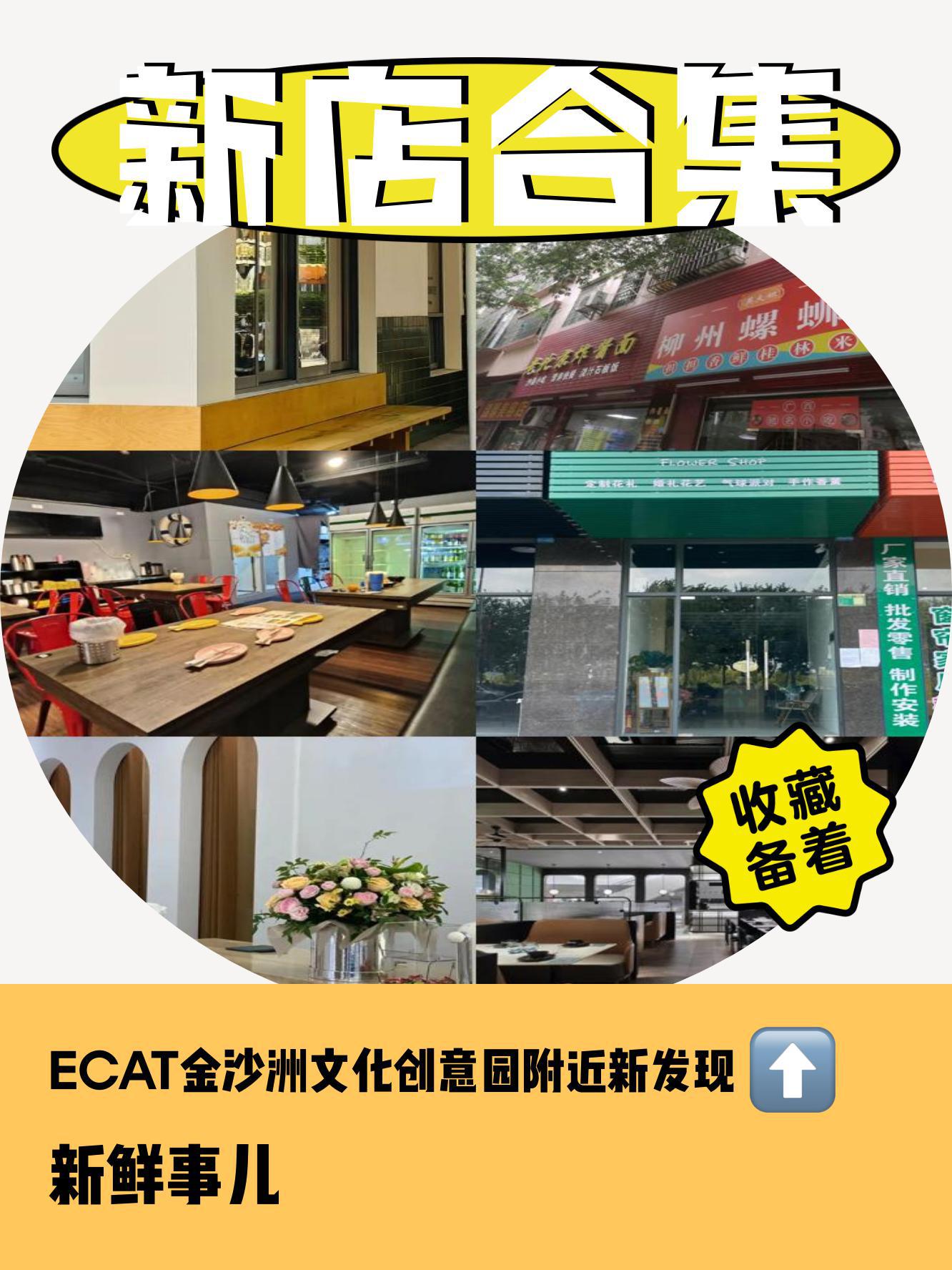 ecat翼少年图片