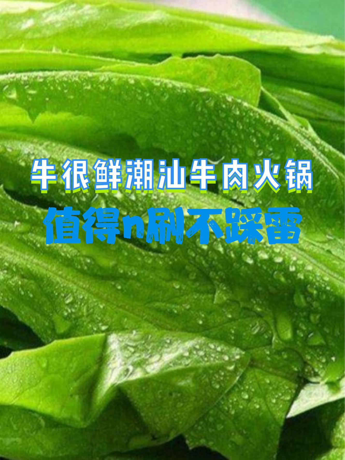 牛很鲜菜单图片