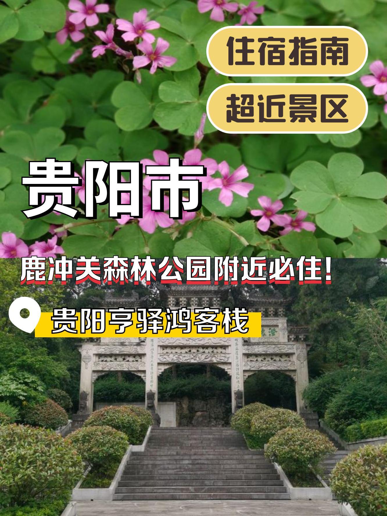 贵阳南郊公园在哪里图片