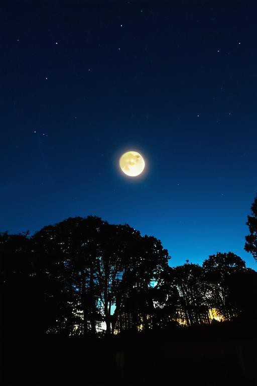 明月夜景图片大全图片