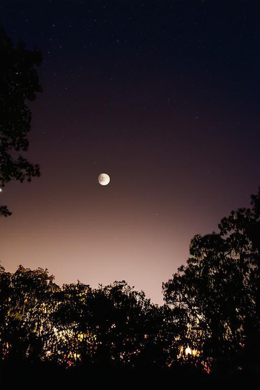 夜晚半月图片图片