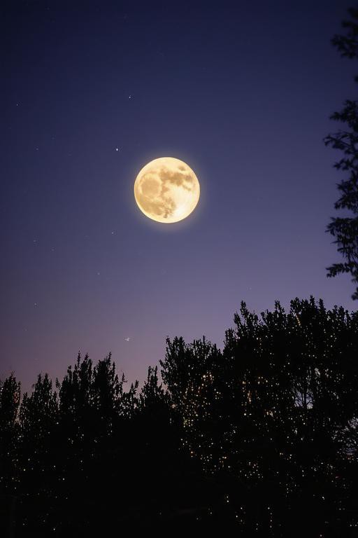 旅游赏月双重happy享不停 赶紧码住 ①逍遥湖 夜晚