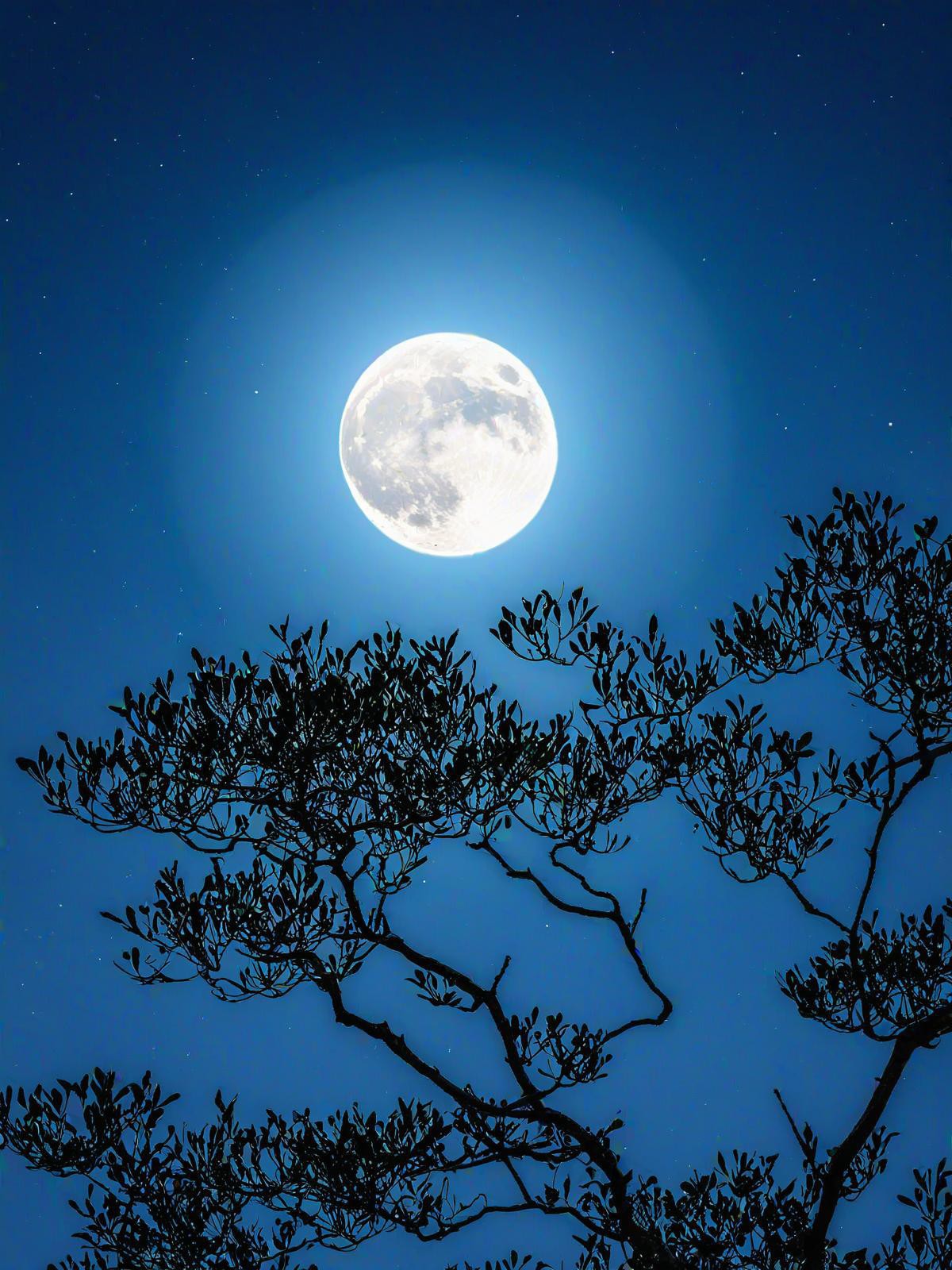 夜晚天台图片向下照片图片