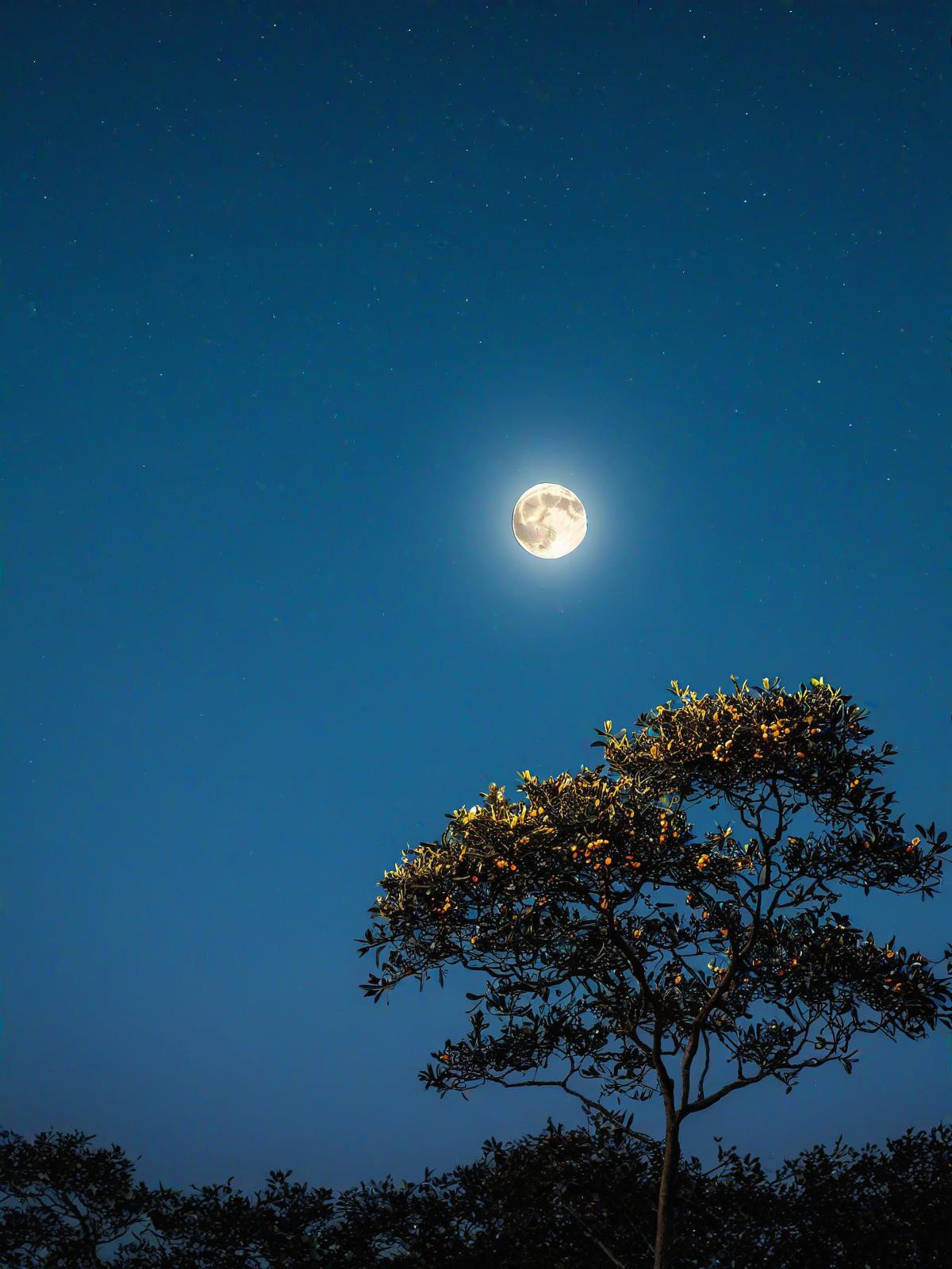 看完这一篇就够了 1 小鱼山景区·海上明月升 夜晚时分