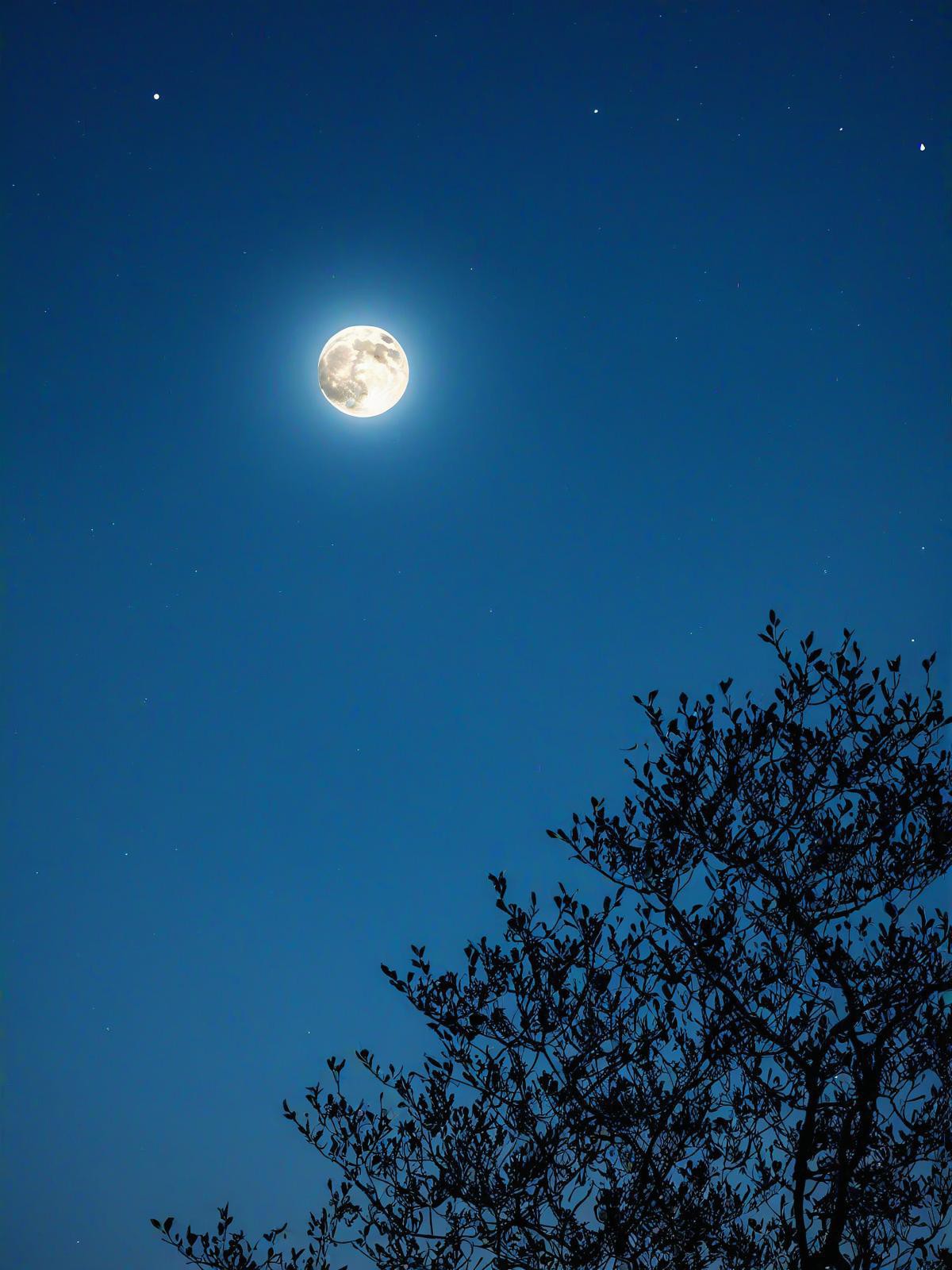 夜晚半月图片图片