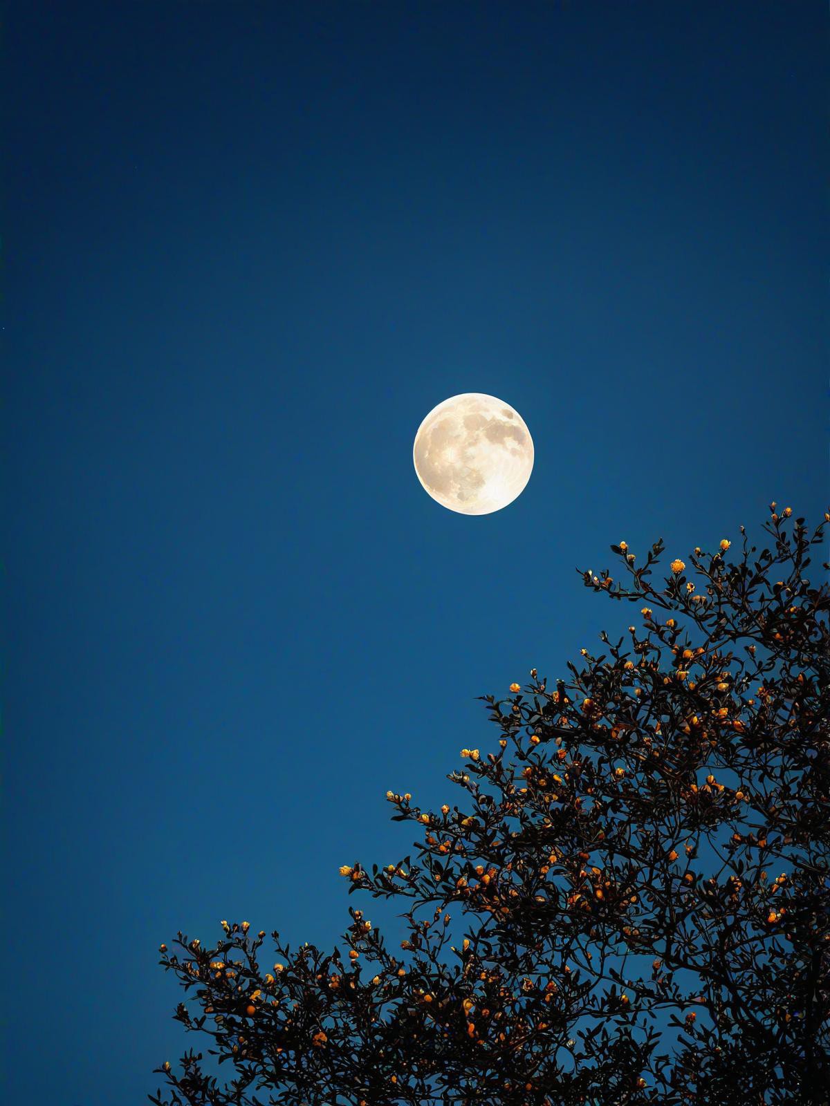 夜晚月亮真实图片