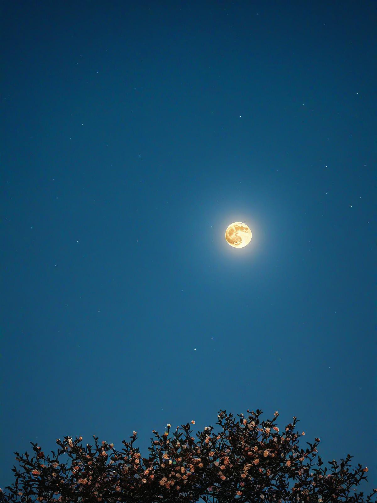 月亮星空壁纸竖屏图片