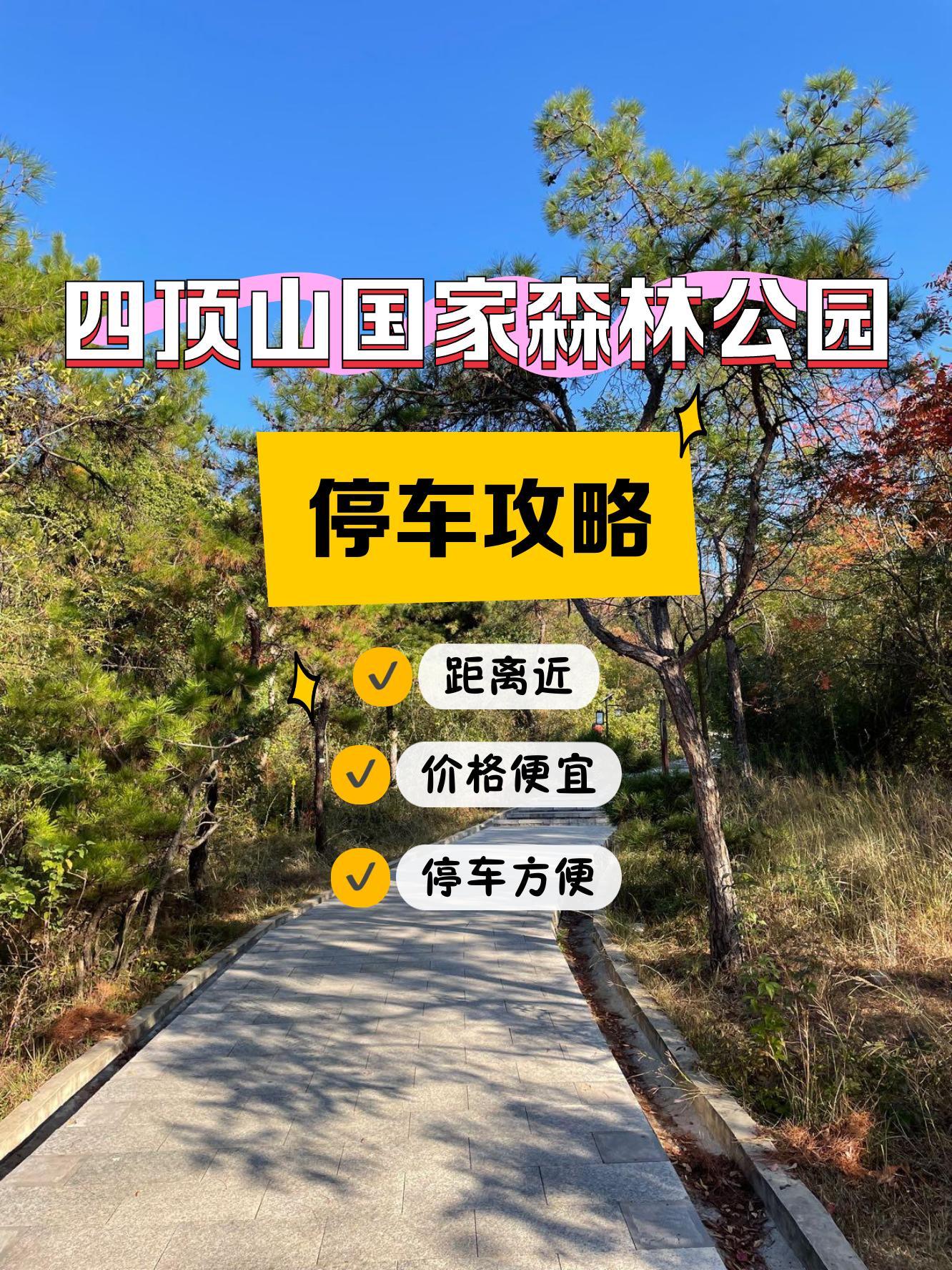 四顶山森林公园门票图片