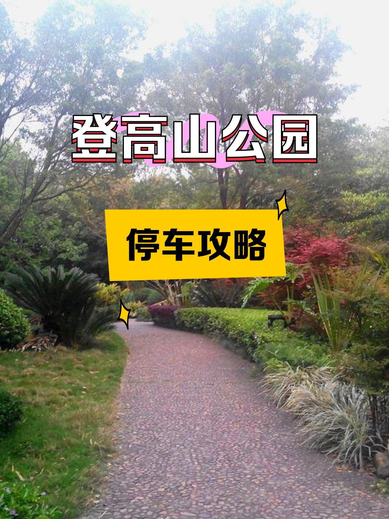 高盖山公园停车场图片