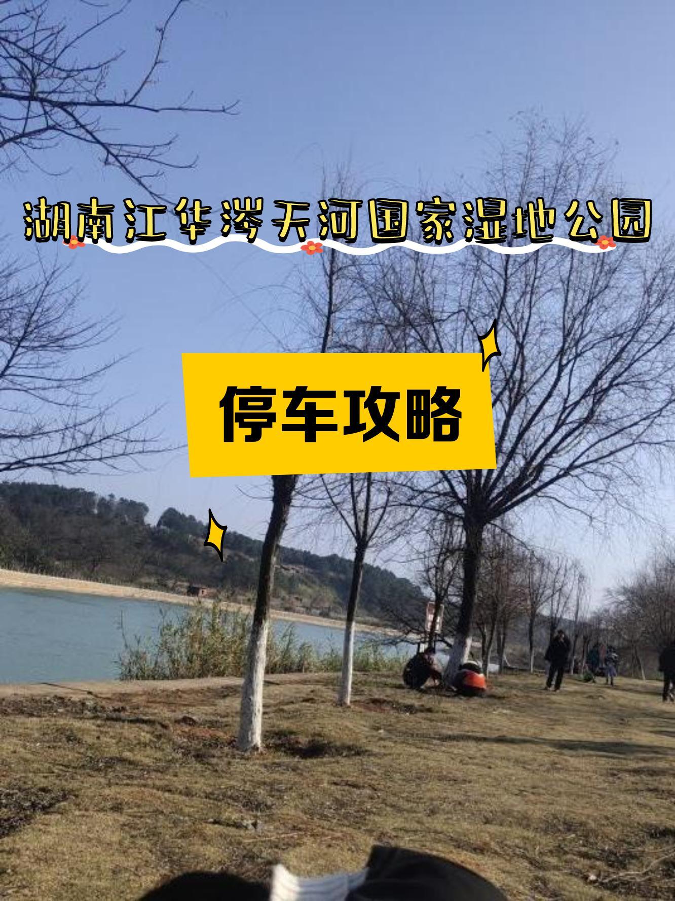 小车河湿地公园停车图片