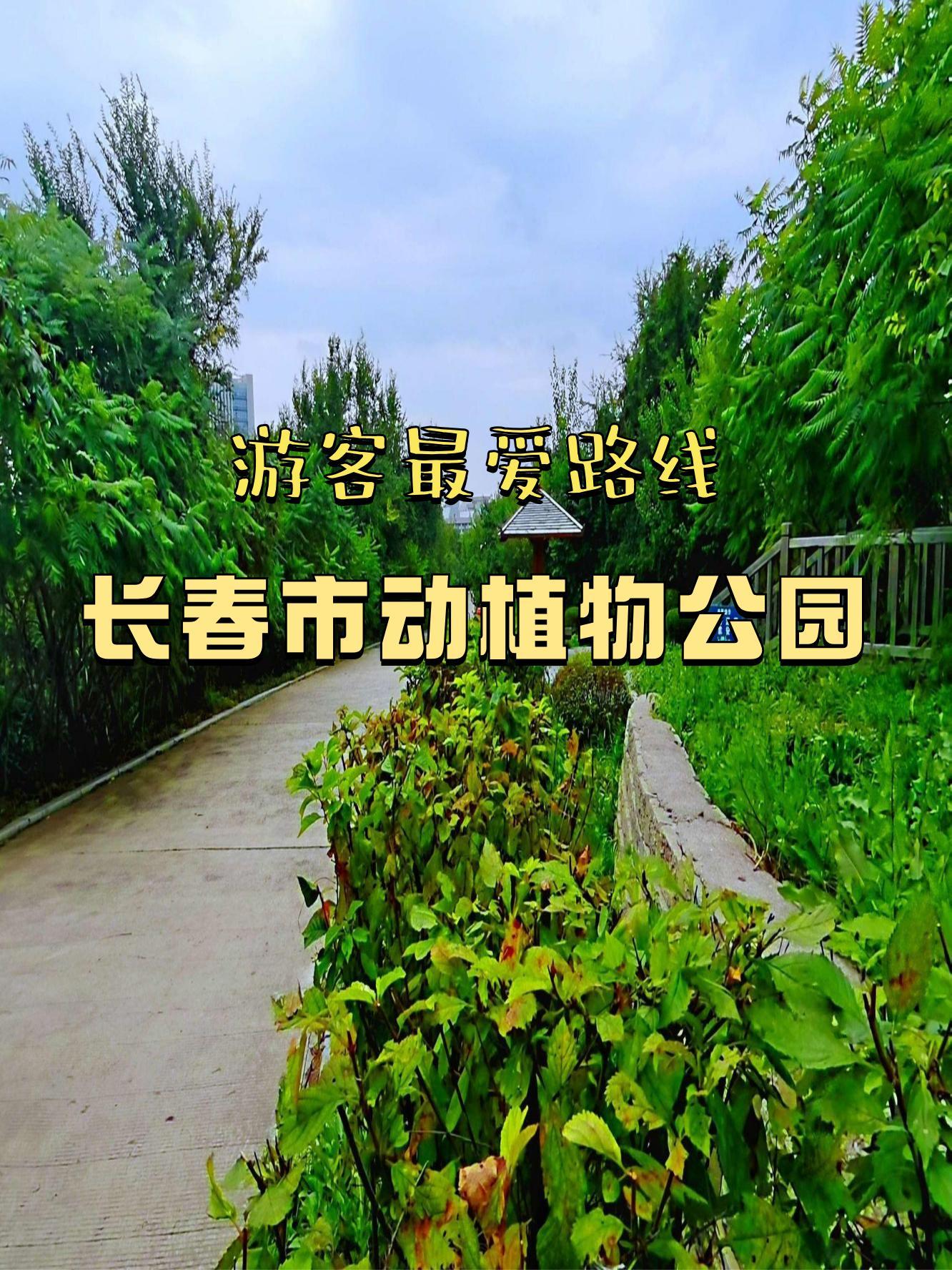 长春长春动植物公园图片