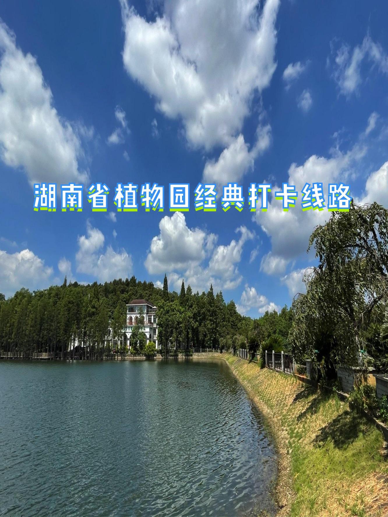 湖南植物园旅游攻略图片