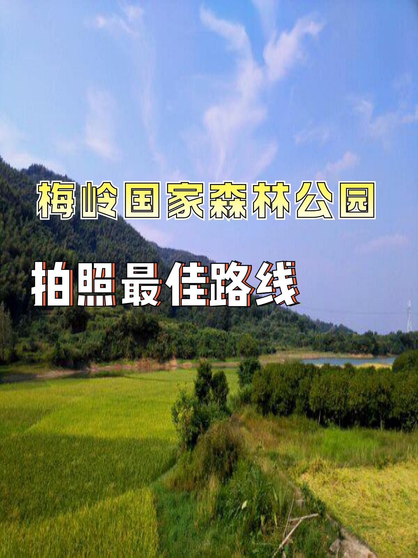 纳溪梅岭公园旅游攻略图片