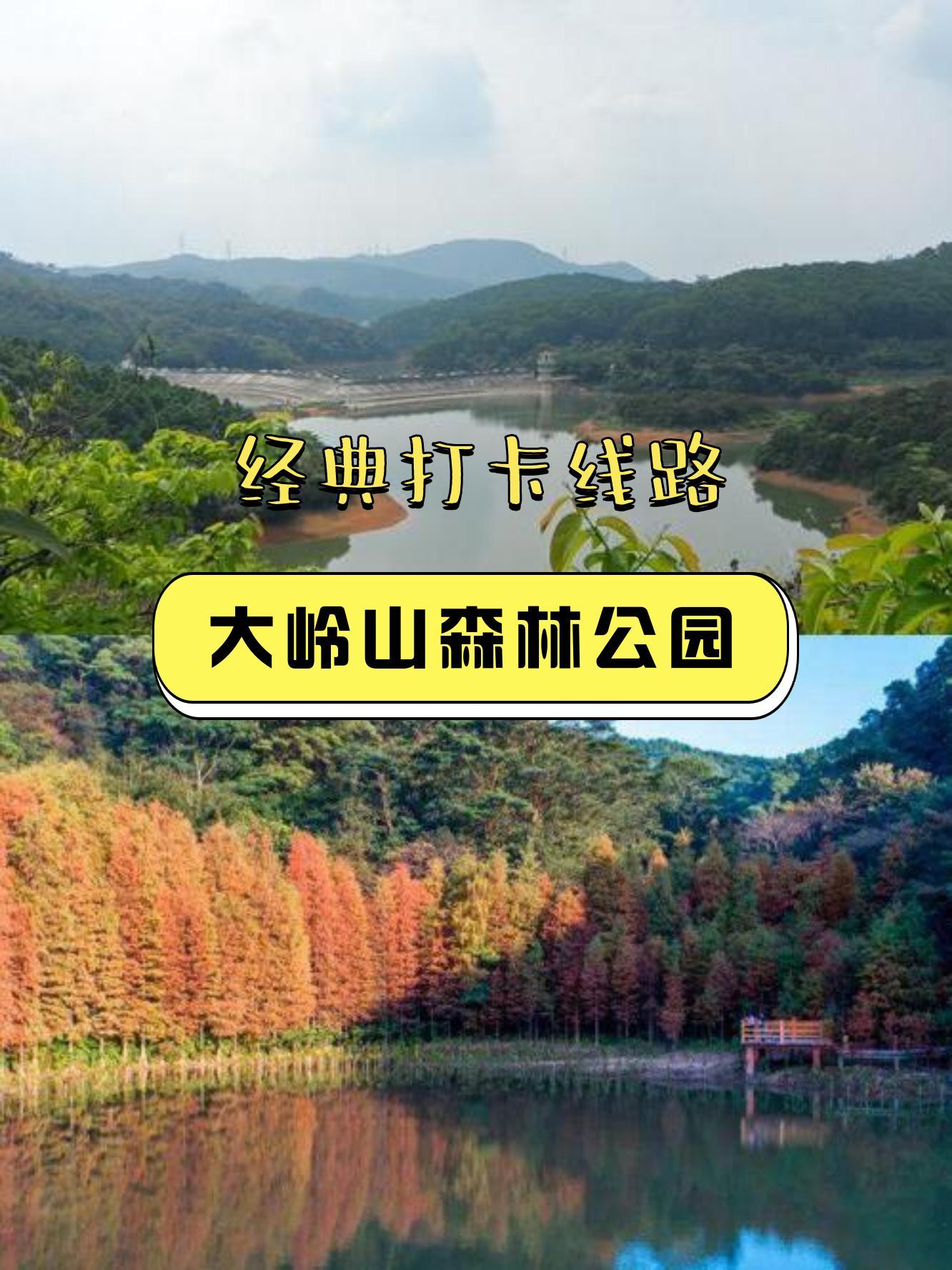 大岭山森林公园简介图片