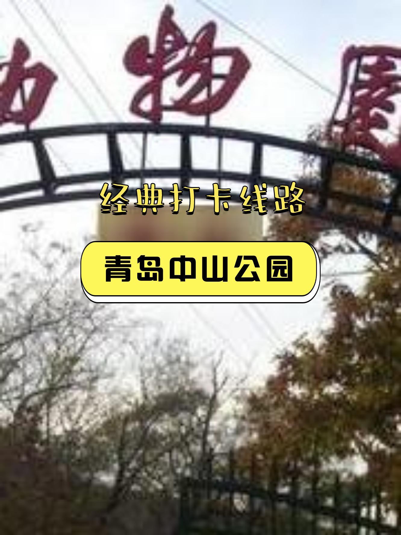 青岛中山公园门票图片