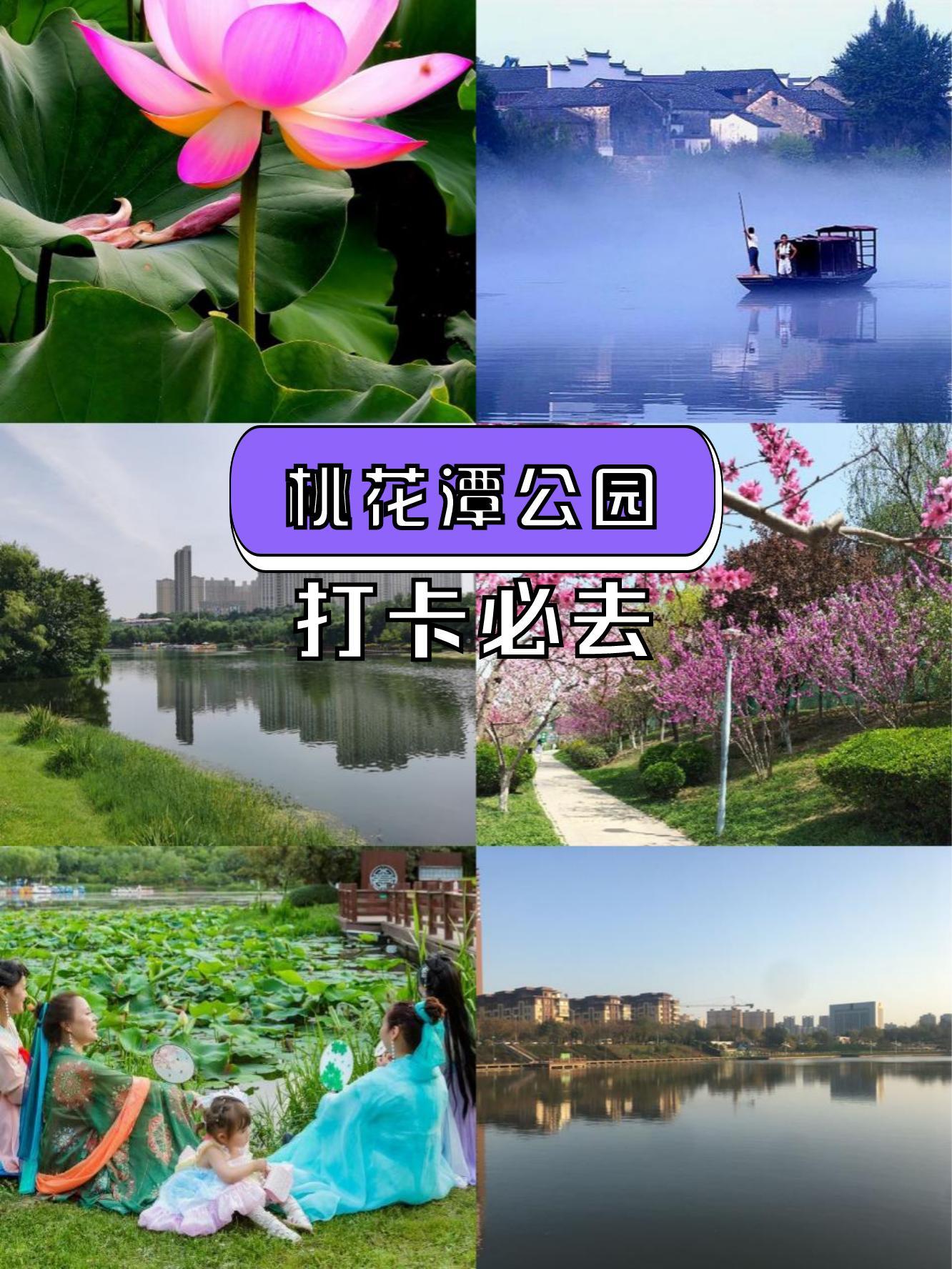 西安桃花潭公园 门票图片