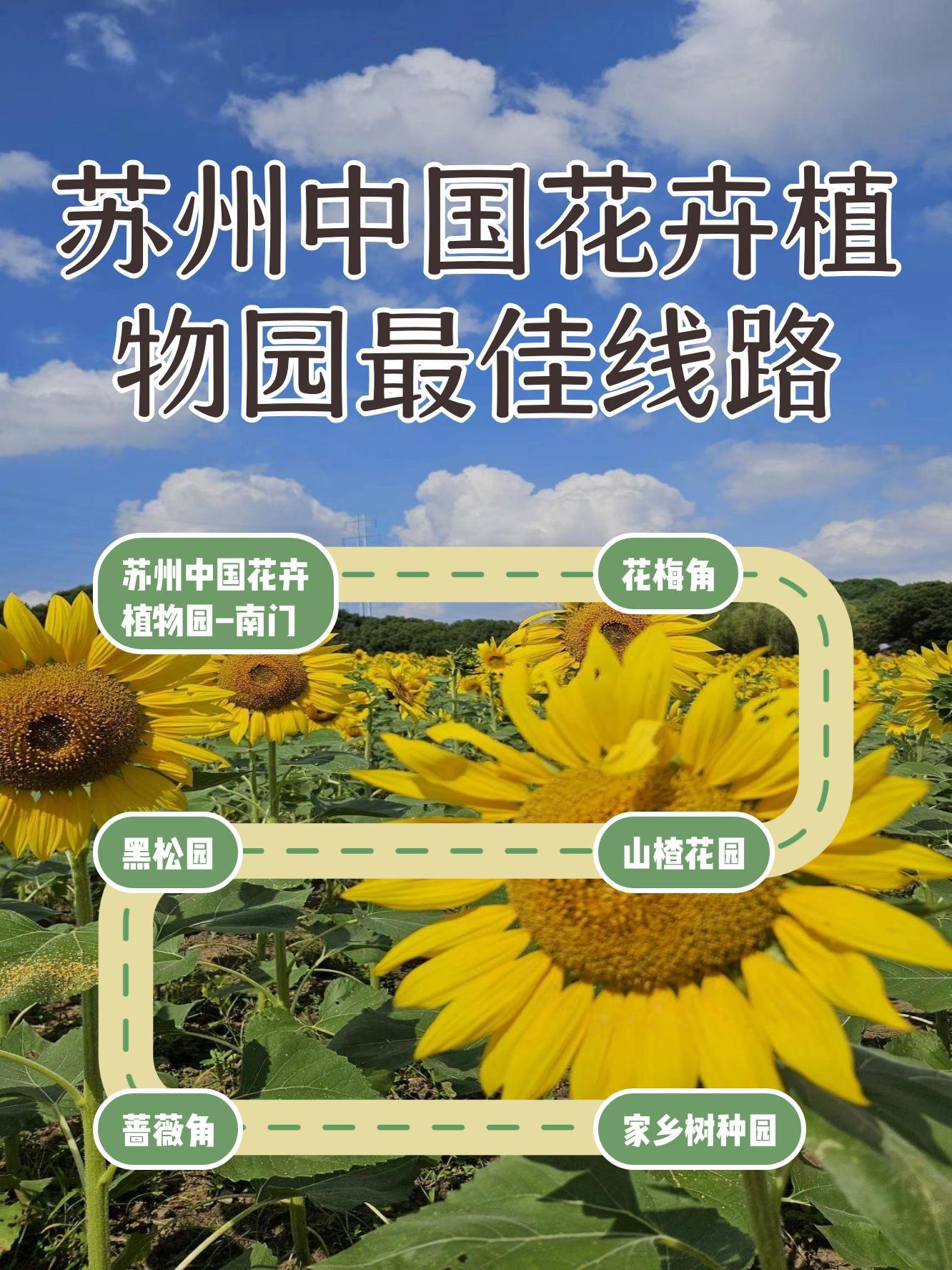 苏州中国花卉植物园图片