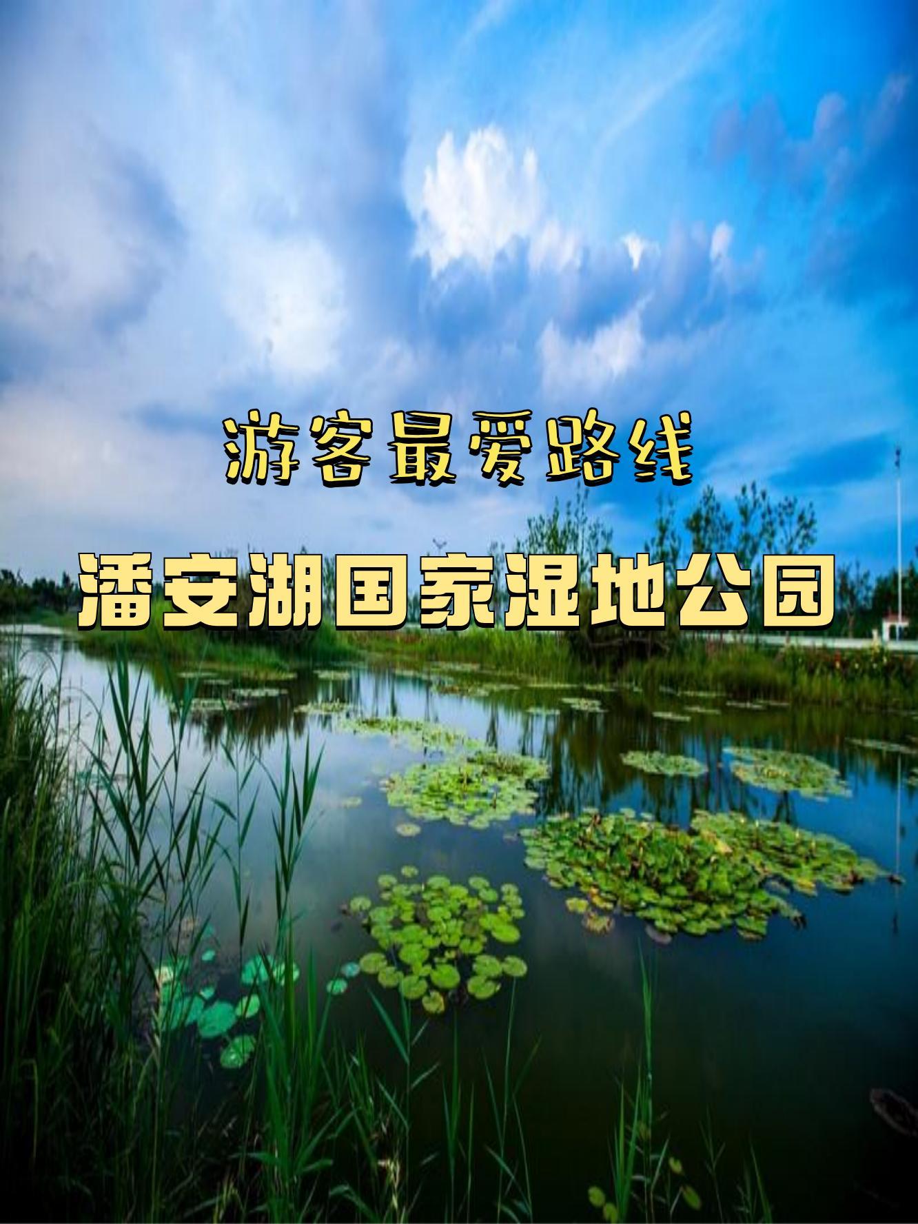 贾汪潘安湖湿地公园图片