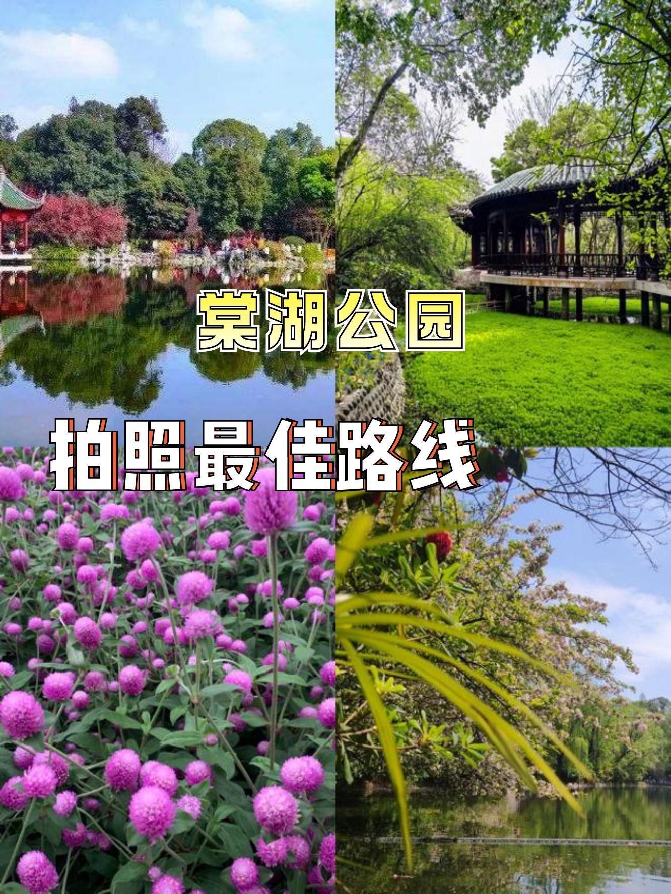 景区名称:棠湖公园 棠湖公园的海棠花盛开时,形成如梦如幻的花径忱热