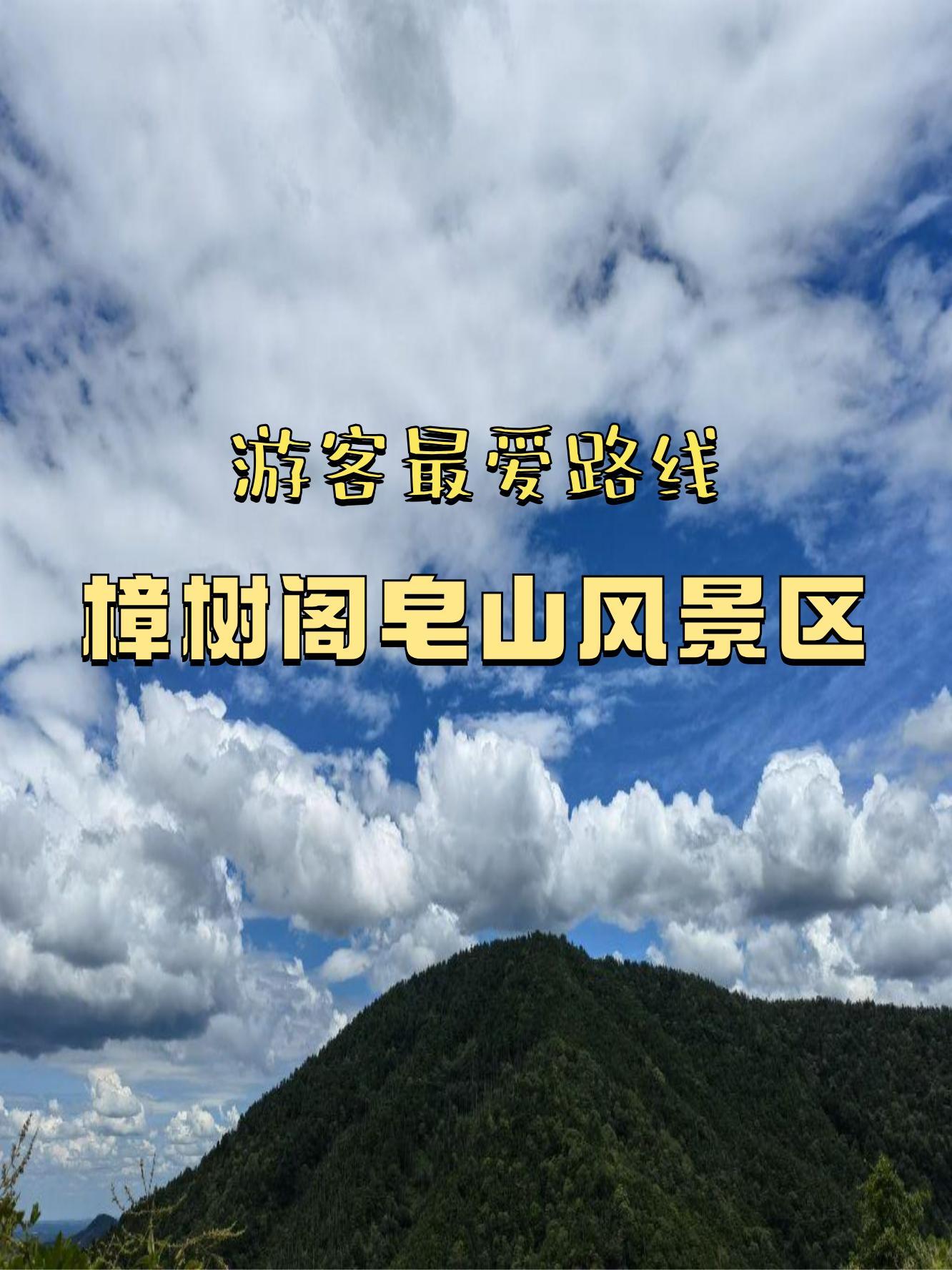 樟树阁皂山景区门票图片