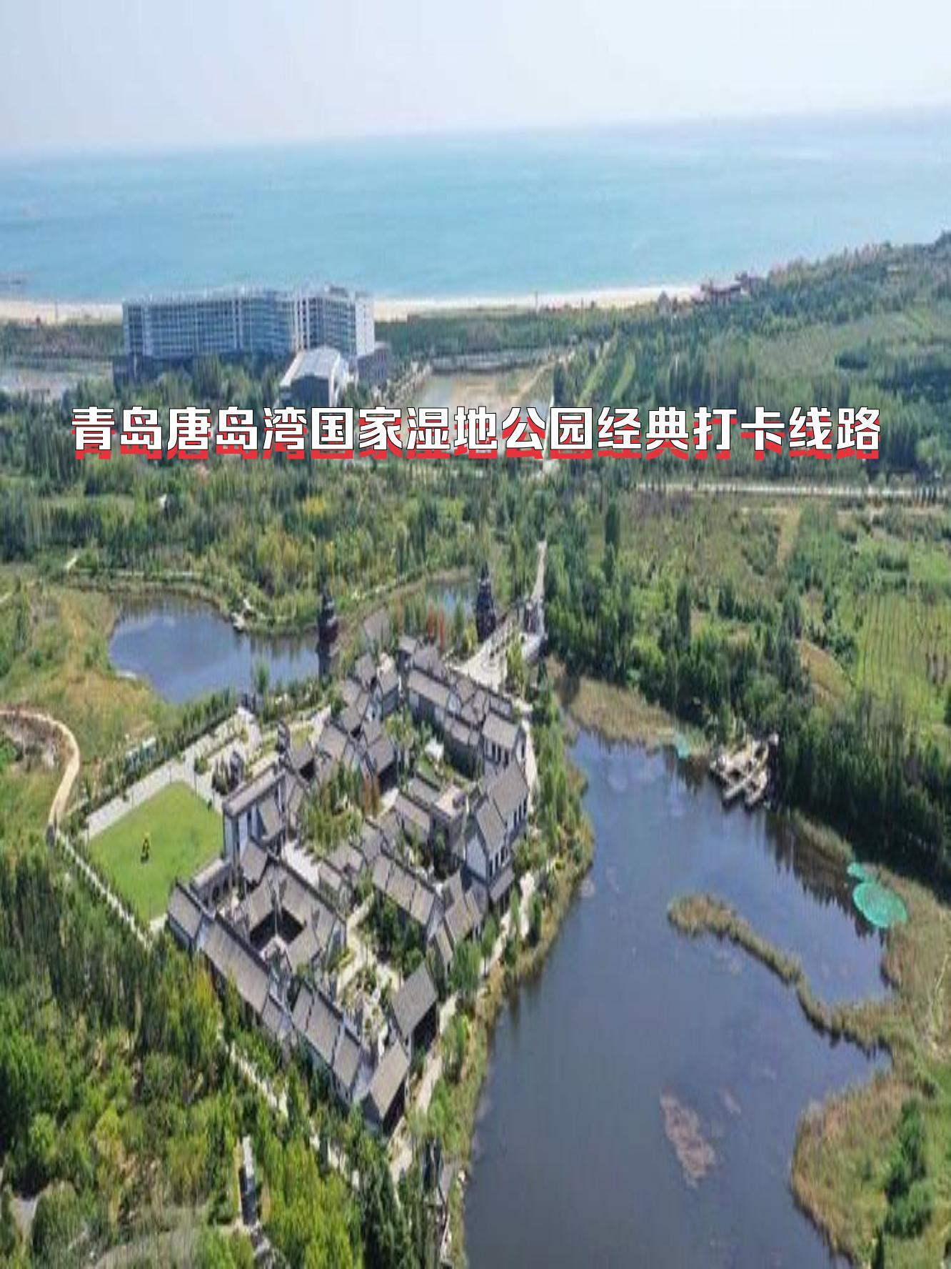 99景区名称:青岛唐岛湾国家湿地公园 99油菜花海盛开,湿地特征