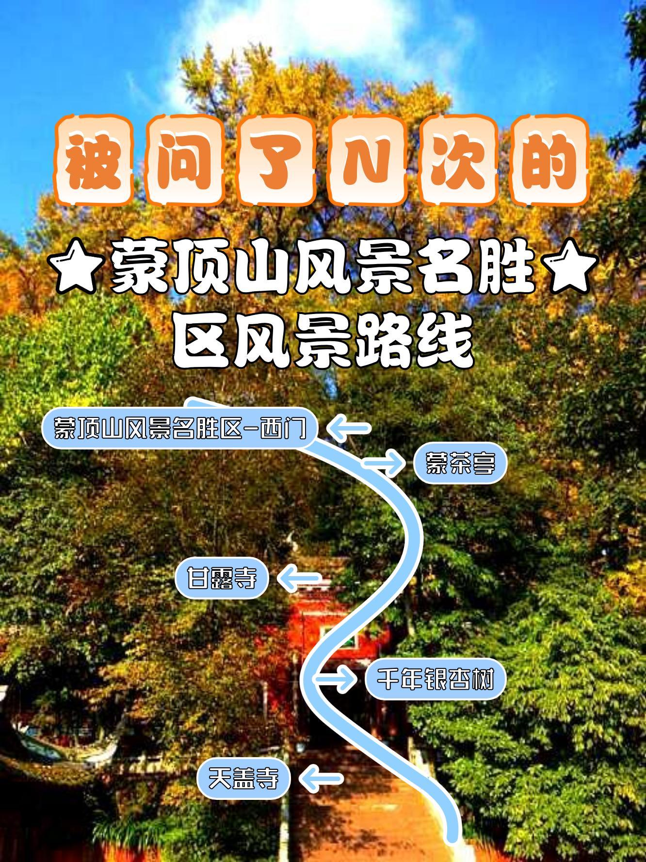 雅安蒙顶山景区地图图片